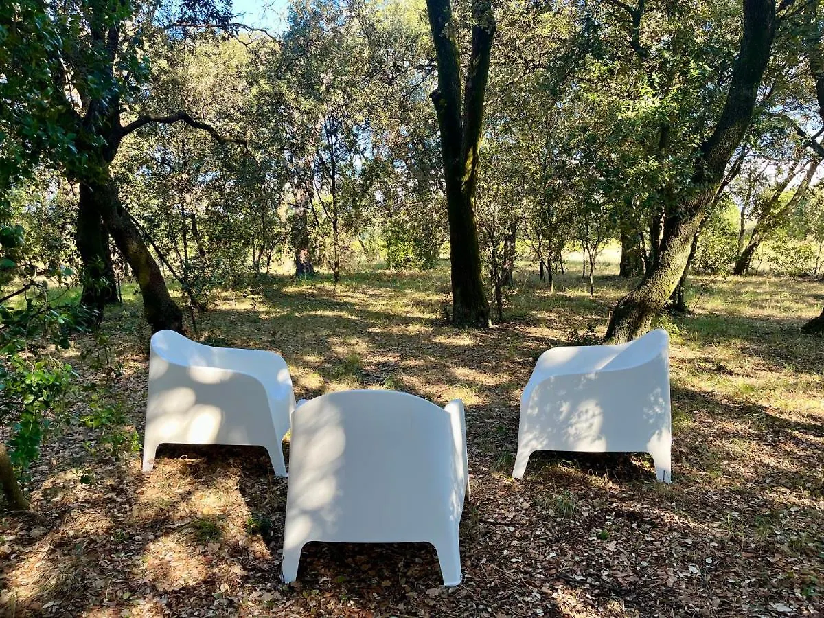 Maisonnette Avec Petite Foret Valréas Hébergement de vacances