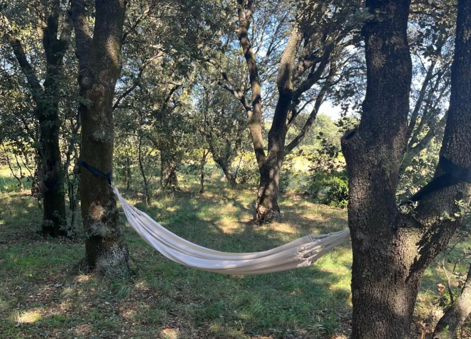 Hébergement de vacances Maisonnette Avec Petite Foret Valréas France